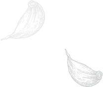 India Village Restaurant