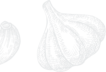 India Village Restaurant